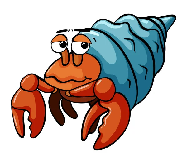 Hermit Crab di latar belakang putih - Stok Vektor