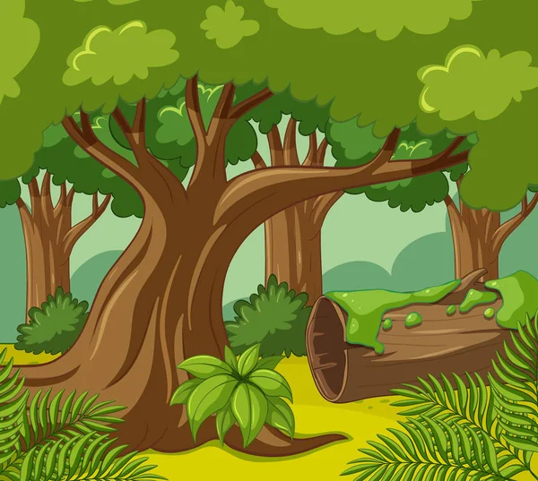 Лісова сцена з багатьма деревами — стоковий вектор