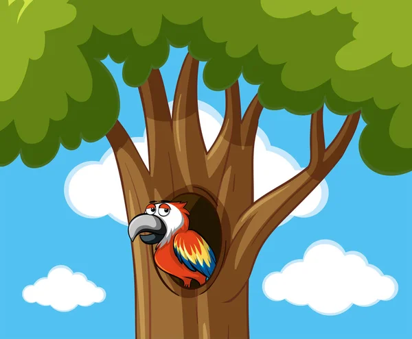 Papagaio em árvore oca —  Vetores de Stock