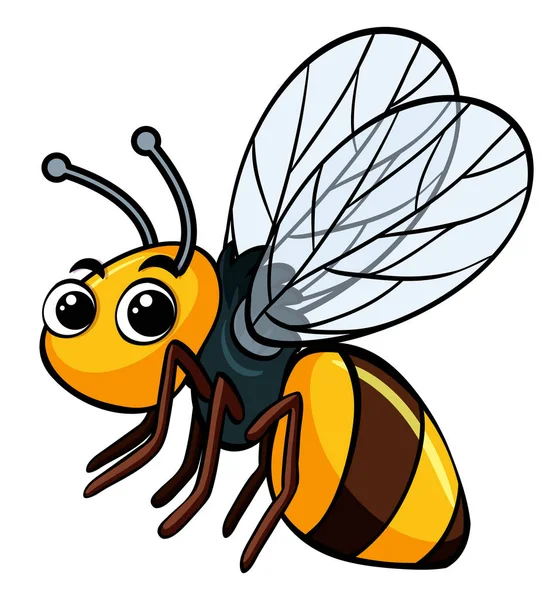 Beyaz arka plan üzerinde uçan arı