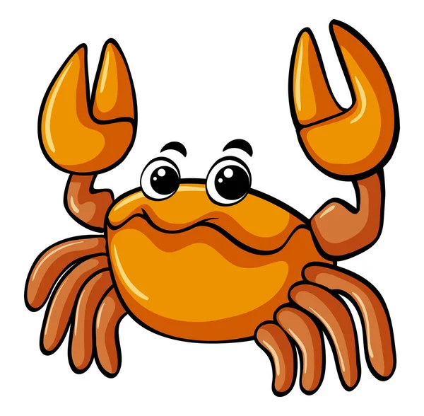 Orange crab on white background — Stock Vector