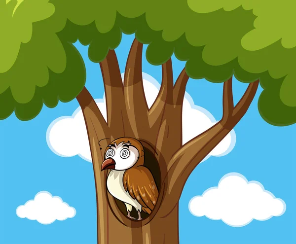 Dizzy sova v dutině stromu — Stockový vektor