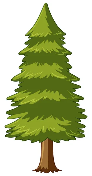 Pine tree on white background — Stock Vector