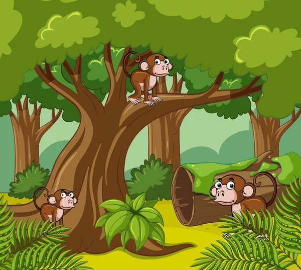 猴子生活在黑暗的森林 — 图库矢量图片