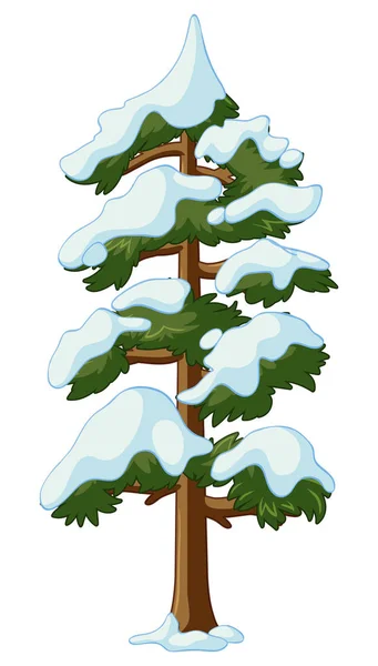 Hóval borított fenyőfa — Stock Vector