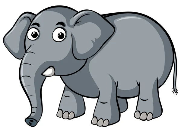 Elefante gris sobre fondo blanco — Vector de stock