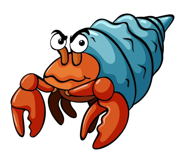 Münzevi kimse Yengeç ciddi bir yüz ile