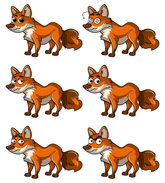 Fox met verschillende gezichtsuitdrukkingen — Stockvector