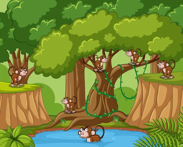 Many monkeys in the forest