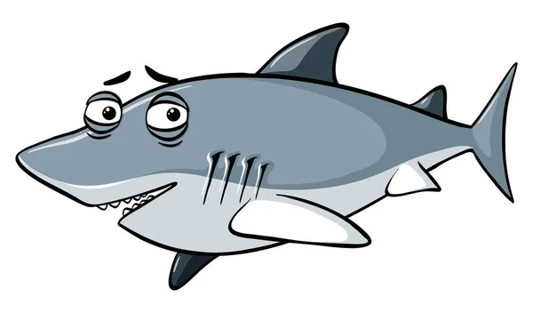 Rekin szary z senne oczy — Wektor stockowy