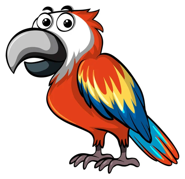 Red parrot on white background — Stock Vector
