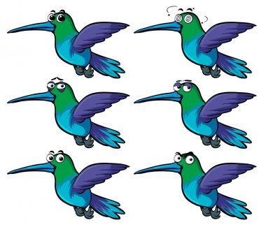 Sinek kuşlarının farklı duygularla