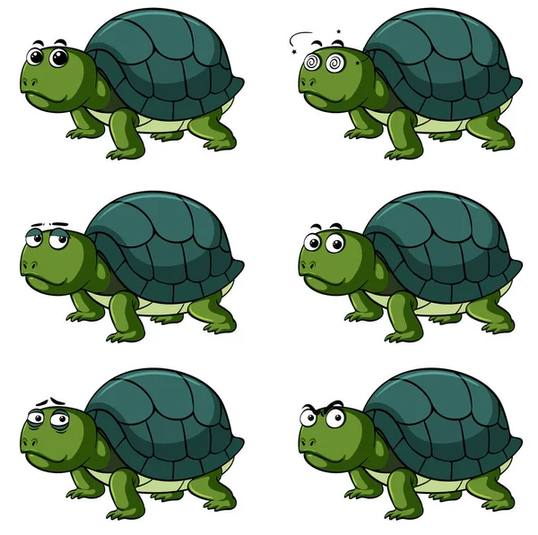 Kura-kura dengan ekspresi wajah berbeda - Stok Vektor