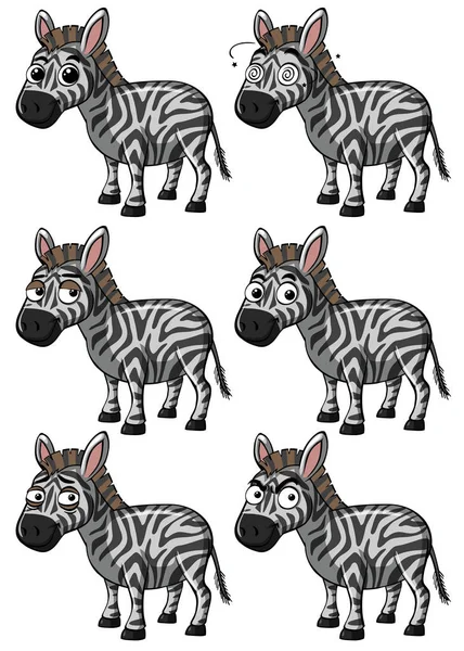 Zebra ด้วยการแสดงออกที่แตกต่างกัน — ภาพเวกเตอร์สต็อก