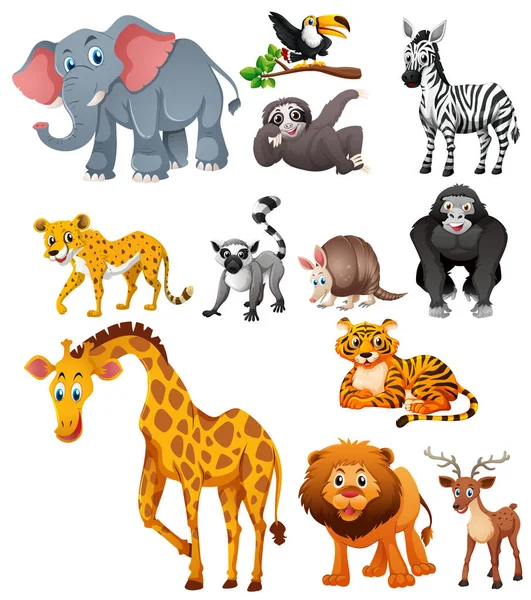 Different types of wild animals — Stock Vector