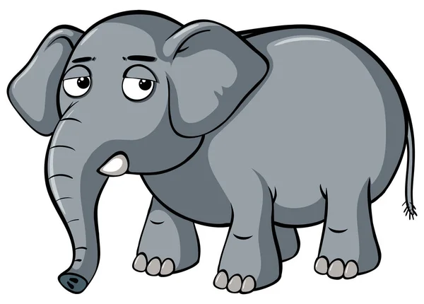Sad elephant on white background — Stock Vector