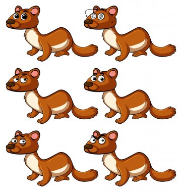 Kunduz farklı yüz ifadeleri ile