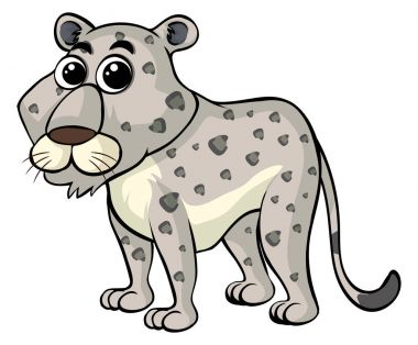 Sevimli yüzü ile beyaz kaplan