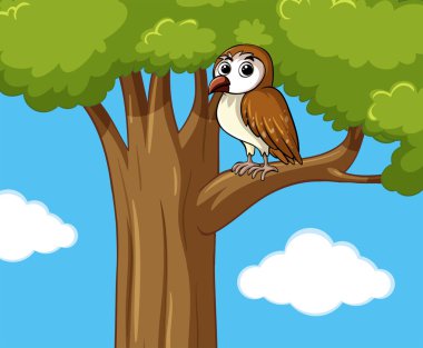 ağaç üzerinde şirin baykuş