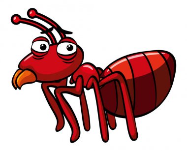 Beyaz zemin üzerine kırmızı karınca