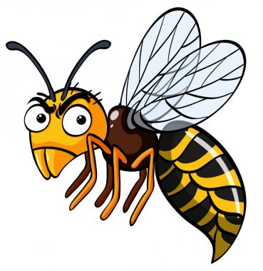 Ciddi bir yüz ile arı