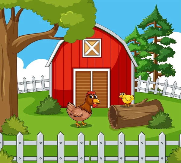 Çiftlikteki tavuklar 