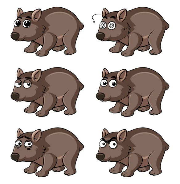 Wombat con diferentes emociones — Archivo Imágenes Vectoriales