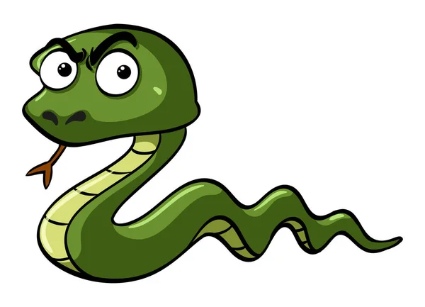 Serpiente verde con cara seria — Archivo Imágenes Vectoriales