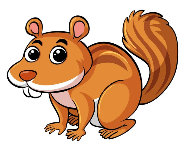 Cute squirrel on white background — Stock Vector