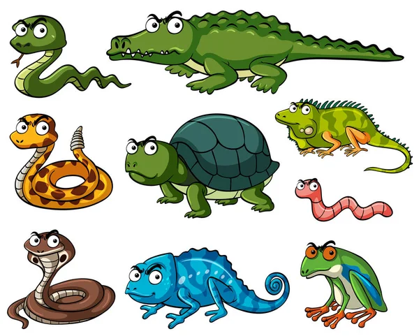 Diferentes tipos de reptiles — Vector de stock