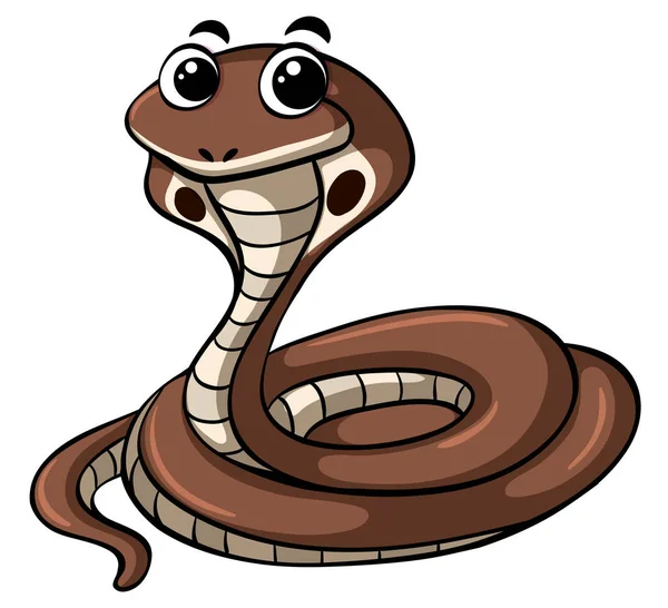 Cobra serpiente sobre fondo blanco — Archivo Imágenes Vectoriales