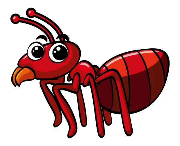 Hormiga roja sobre fondo blanco — Archivo Imágenes Vectoriales