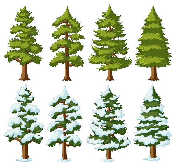 Różne kształty drzew sosny — Wektor stockowy