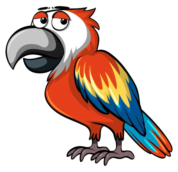 Parrot with sleepy eyes — Stock Vector