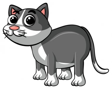 Gri Kürk ile şirin kedi