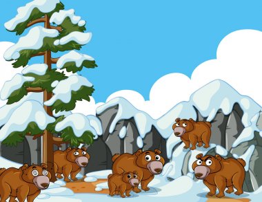 Kahverengi ayı kar dağ