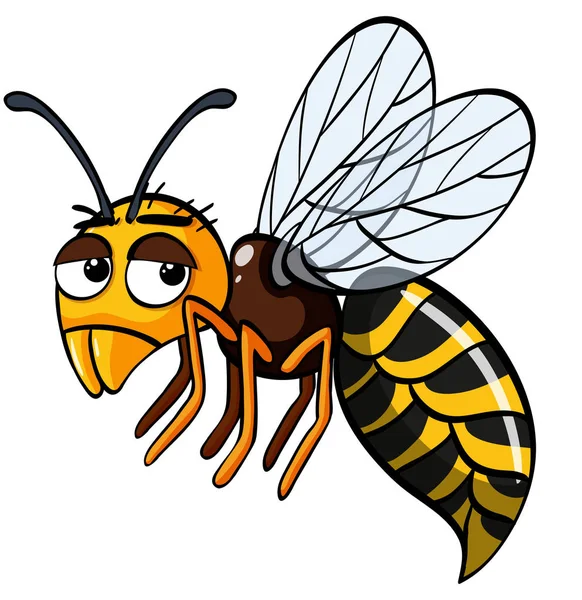 Arı ile beyaz arka plan üzerinde üzgün yüz