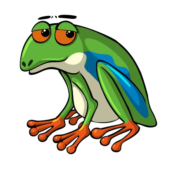 Grüner Frosch mit traurigen Augen — Stockvektor