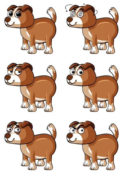 Farklı yüz duygular ile kahverengi köpek