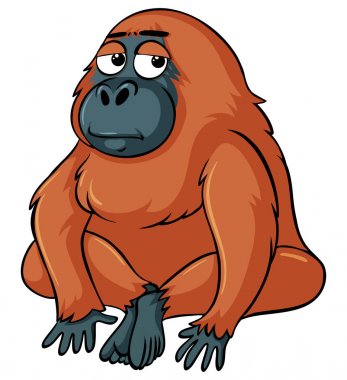 Beyaz arka plan üzerinde uykulu urangutan