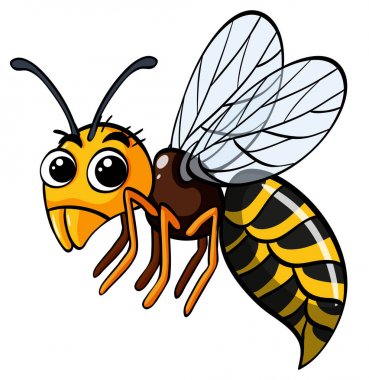 Beyaz zemin üzerine iri gözlü arı