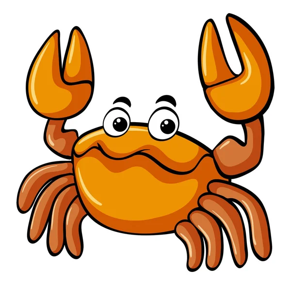 Cute crab on white background — Stock Vector