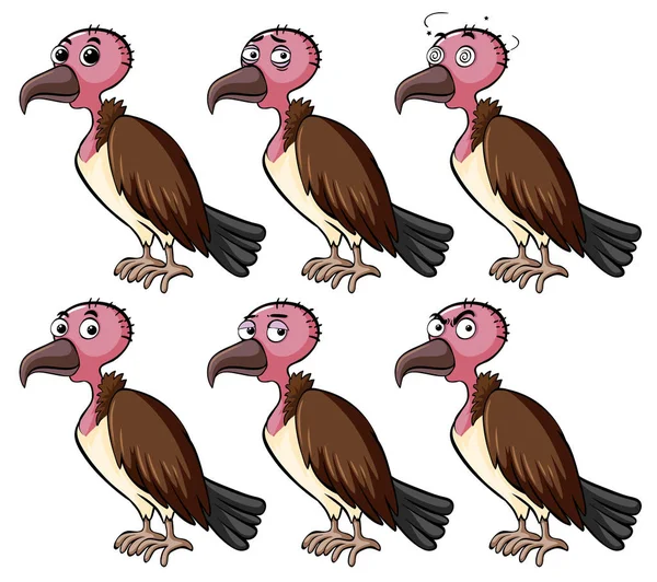 秃鹫背上有不同的面部表情 — 图库矢量图片