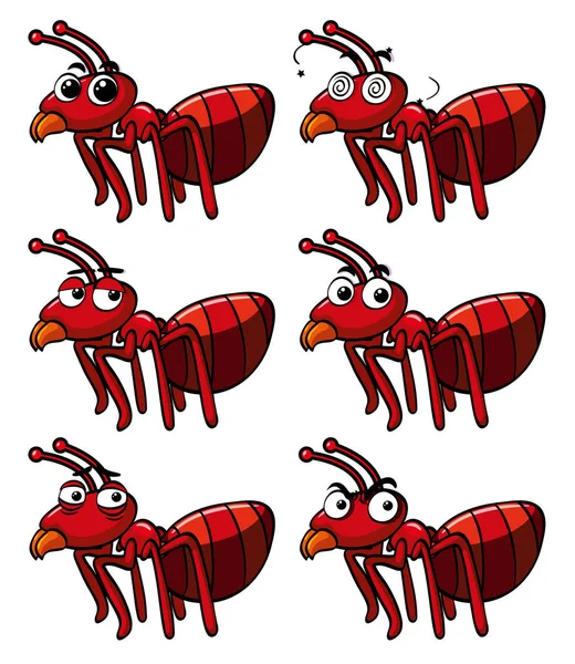 Rode mier met verschillende gezichtsuitdrukkingen — Stockvector