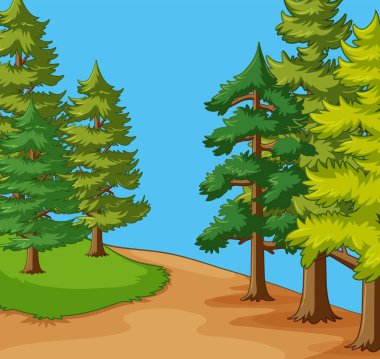 Arka plan sahne alanı çam ağaçları ile