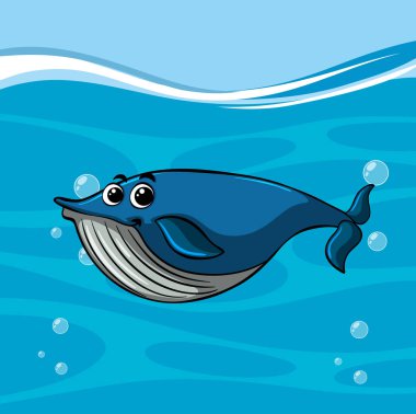 Balina Yüzme okyanusun altında