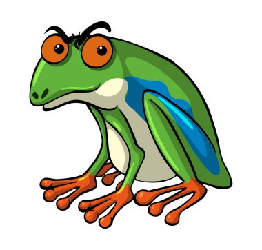 Ciddi bir yüz ile yeşil kurbağa