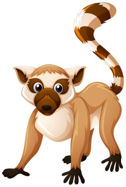 Mutlu yüz ile kahverengi lemur