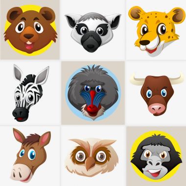 Vahşi hayvanların farklı yüzleri