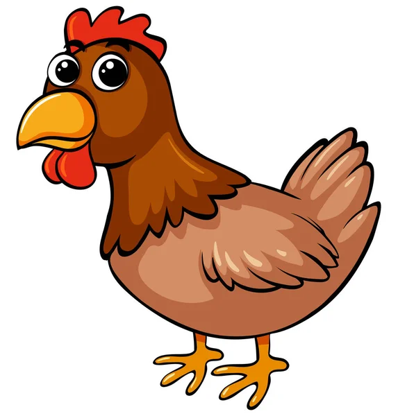 Brown chicken on white background — Stock Vector